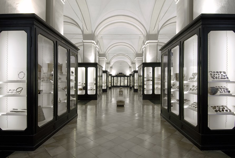 Salone Archeologia del Museo Civico di Modena.jpg