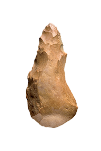paleomeso.png