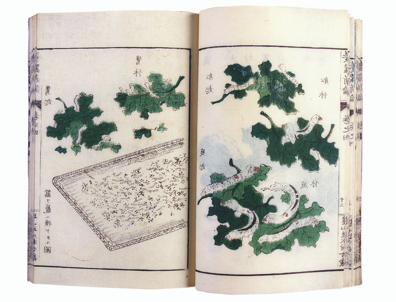 Trattato di bachicultura. Giappone, XIX secolo