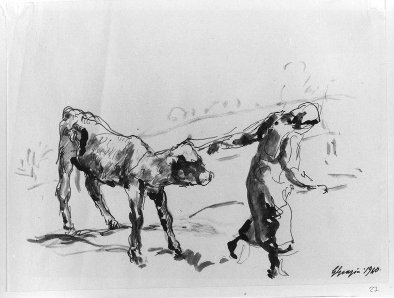 089 Contadina che trascina il vitello