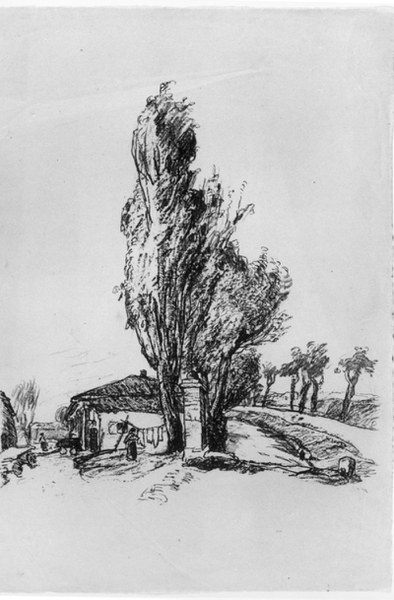 114.jpg