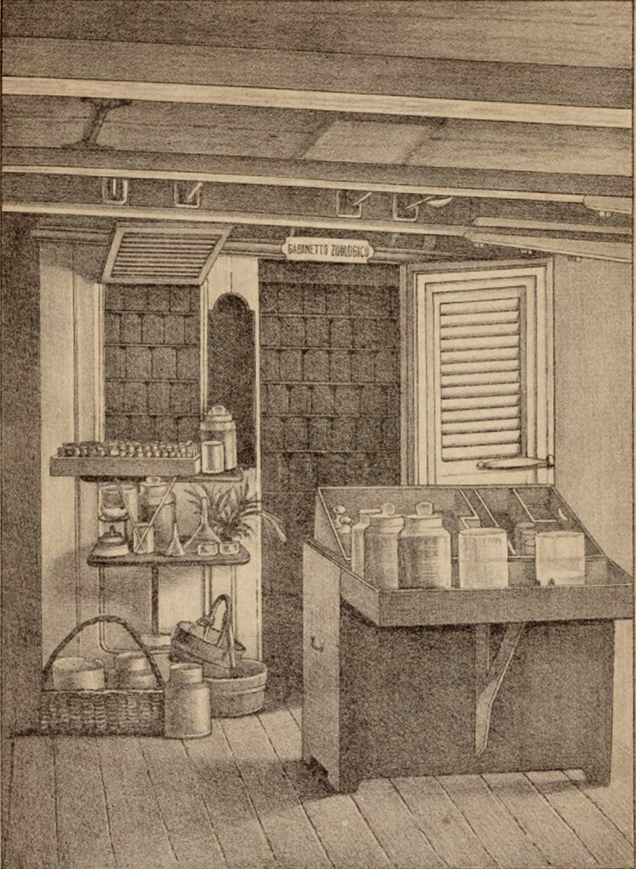 04_Laboratorio zoologico.jpg